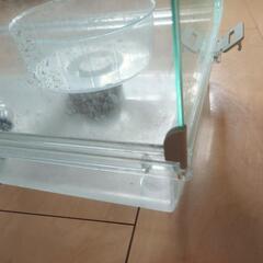ハムスター飼育容器グラスハーモニー450の画像