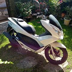 （取引成立🙇）　　　🌺PCX125売り🌺