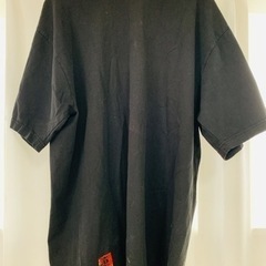 和柄　鯉の滝登り　Tシャツ