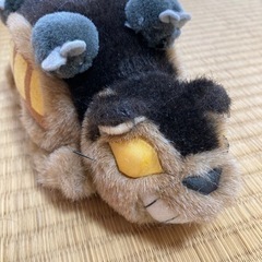 【お話し中】となりのトトロぬいぐるみセットの画像