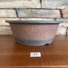 No.55 盆栽鉢　中浅　外縁　丸　烏泥