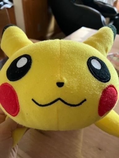 レアなポケモン沢山