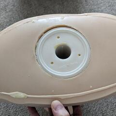 エステ練習用ドールの画像