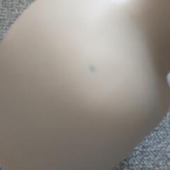 エステ練習用ドールの画像