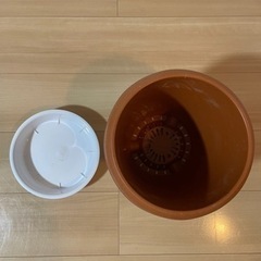 【あげます！】植木鉢(7号サイズ)の画像