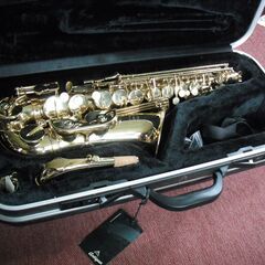 アルトサックス　SELVA　ケース付き　SN20131153の画像