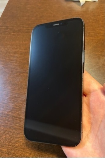 iPhone 12 Pro Max パシフィックブルー 256 GB SIMフリー