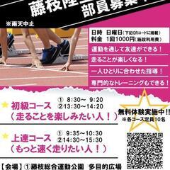 かけっこ練習会の画像