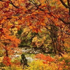 富山カメラ部📸 − 富山県