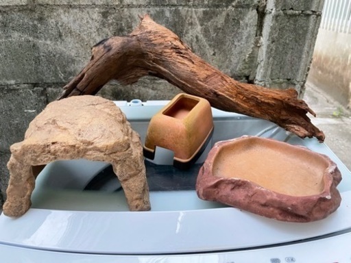 爬虫類用品　色々