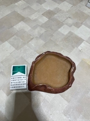 爬虫類用品　色々