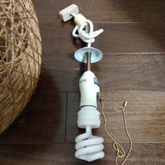 アジアン風　室内灯のカサの画像