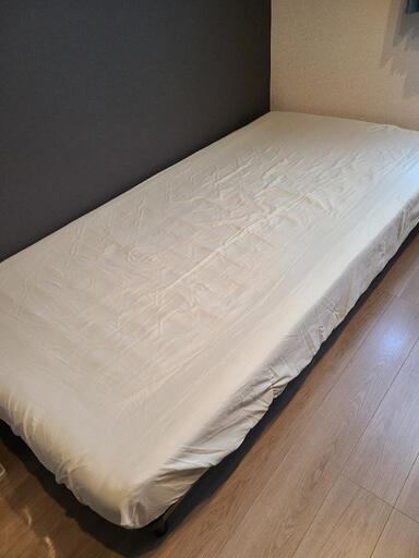 【決定】ニトリ　シングルベット