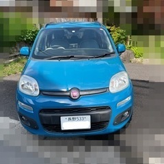 フィアット パンダ イージー FIAT PANDA EASY 車...