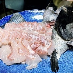 かぶせ釣り　石鯛