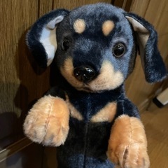 たっちぃzoo わんこ ダックスフントの画像