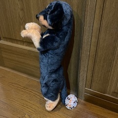たっちぃzoo わんこ ダックスフントの画像
