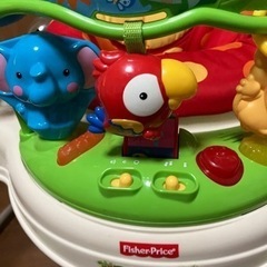 レインフォレスト ジャンパルーの画像