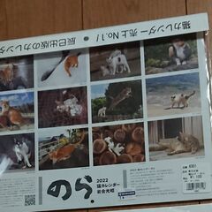 新品 猫 コレクション のら①の画像