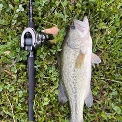 バス釣り、海釣り仲間募集