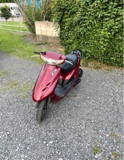 586.  動画あり　ホンダ　ライブディオZX仕様　原付　バイク　50cc   車体