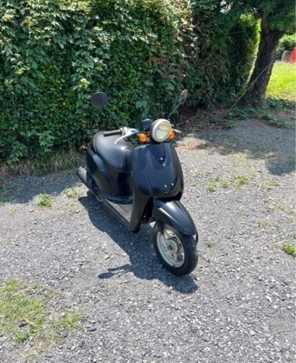 588.  動画あり　ホンダ　トゥデイ　AF61  原付　バイク　50cc   車体