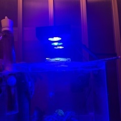 マリンアクアリウム　システムLED