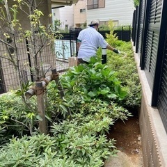 日給4万/出勤不要！自動車修理サービス/害虫&害獣駆除サービス/の画像