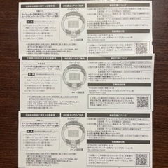サンフレッチェ　バックゾーン入場引換券の画像