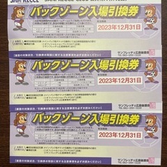 サンフレッチェ　バックゾーン入場引換券