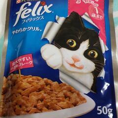🐱子猫フィリックス🐱総合栄養食の画像