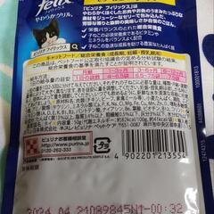 🐱子猫フィリックス🐱総合栄養食の画像