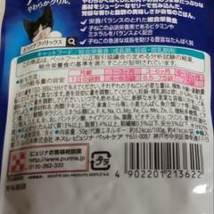 🐱子猫フィリックス🐱総合栄養食の画像