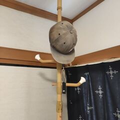 天井突っ張りハンガー