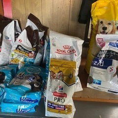 ドッグフード　まとめ売り　約44キロ　餌　期限近いため気になさらない方