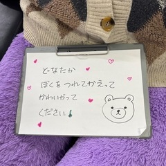 くまぬいぐるみの画像