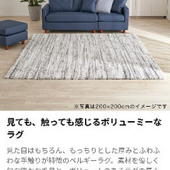 定価12,990円のベルギー産ラグ・絨毯<本日駒沢にて受け取り可...