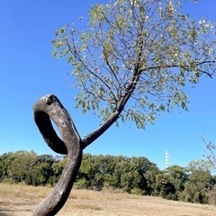 オススメのパワースポットを教えて下さい！☀️