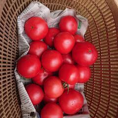 トマト🍅新鮮❗