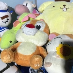 ☆ぬいぐるみの画像