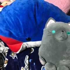 ☆ぬいぐるみの画像