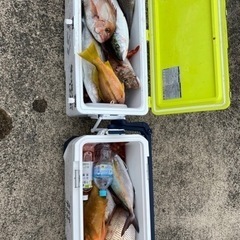 プレジャーボートで一緒に釣りに行きませんか(*^^*) - 唐津市