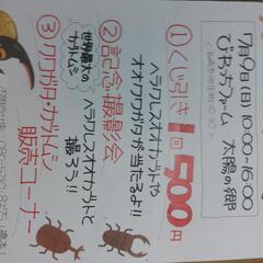 第二回　カブトムシ　クワガタ祭り❗
