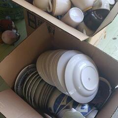 食器　グラスの画像