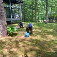 軽井沢で別荘、ゴルフ場の庭園管理のお仕事の画像