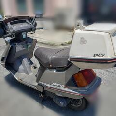 希少 現役 ホンダ スペイシー ストライカーの画像