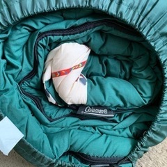 キャンプギア Coleman 寝袋の画像