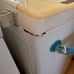 洗濯機    お話中の画像