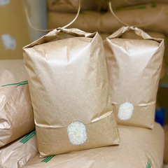 【白米】島根県産きぬむすめ（令和４年産）９ｋｇ（精米ロス分）
