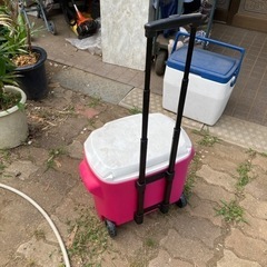 Coleman クーラーボックスの画像